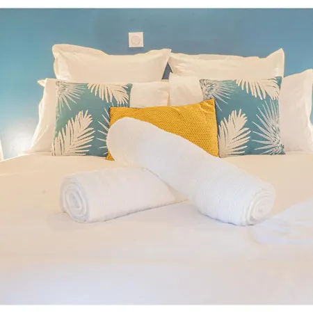 Le Cocon De La Cathédrale - Hypercentre - Jungle Chic - Vue Sur L'iton Et Cathédrale Appartamento *