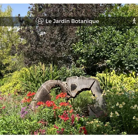 Le Cocon De La Cathedrale - Hypercentre - Jungle Chic - Vue Sur L'iton Et Cathedrale Apartment Evreux