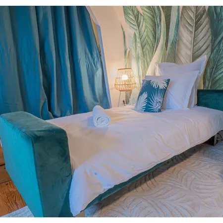 Appartamento Le Cocon De La Cathédrale - Hypercentre - Jungle Chic - Vue Sur L'iton Et Cathédrale *