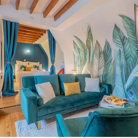 Le Cocon De La Cathedrale - Hypercentre - Jungle Chic - Vue Sur L'iton Et Cathedrale