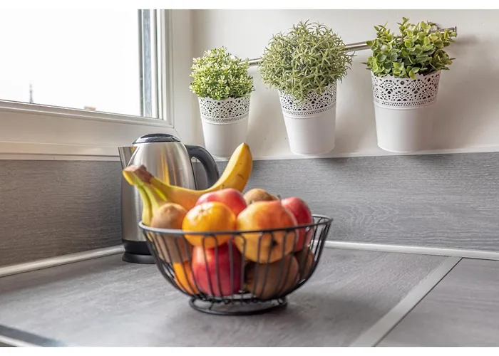 Apartment Le Cocon De La Cathedrale - Hypercentre - Jungle Chic - Vue Sur L'iton Et Cathedrale